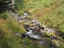 PICTURES/Annie Creek Trail - Crater Lake National Park/t_IMG_6303.jpg